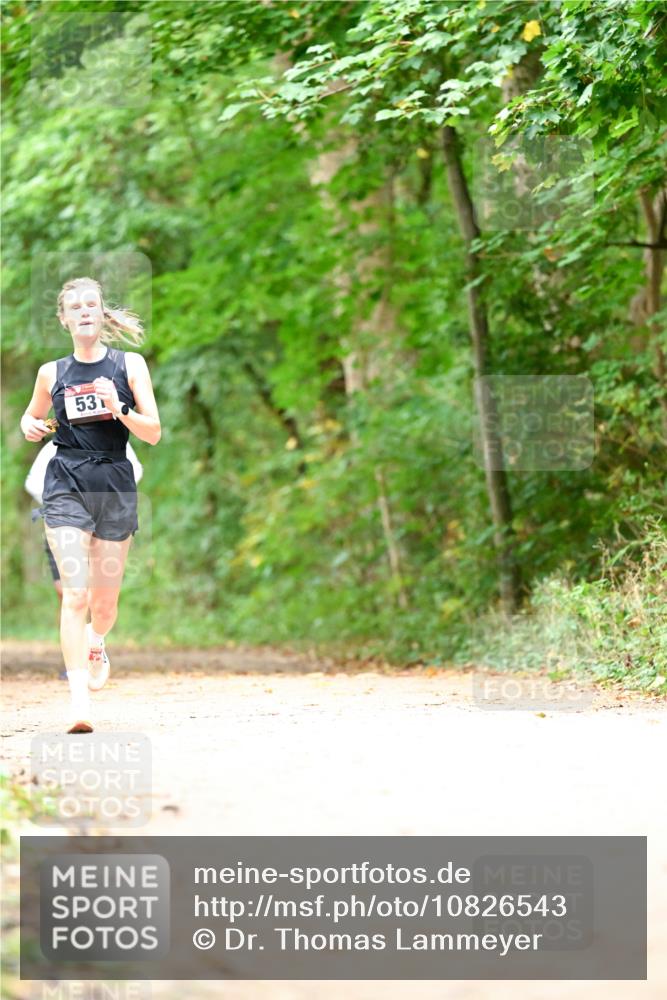 11.10.2026 - Bramfelder Halbmarathon 2026 Dr. Thomas Lammeyer http://msf.ph/oto/10826543 11.10.2026 10:57:16 Laufen 53 meine-sportfotos.de