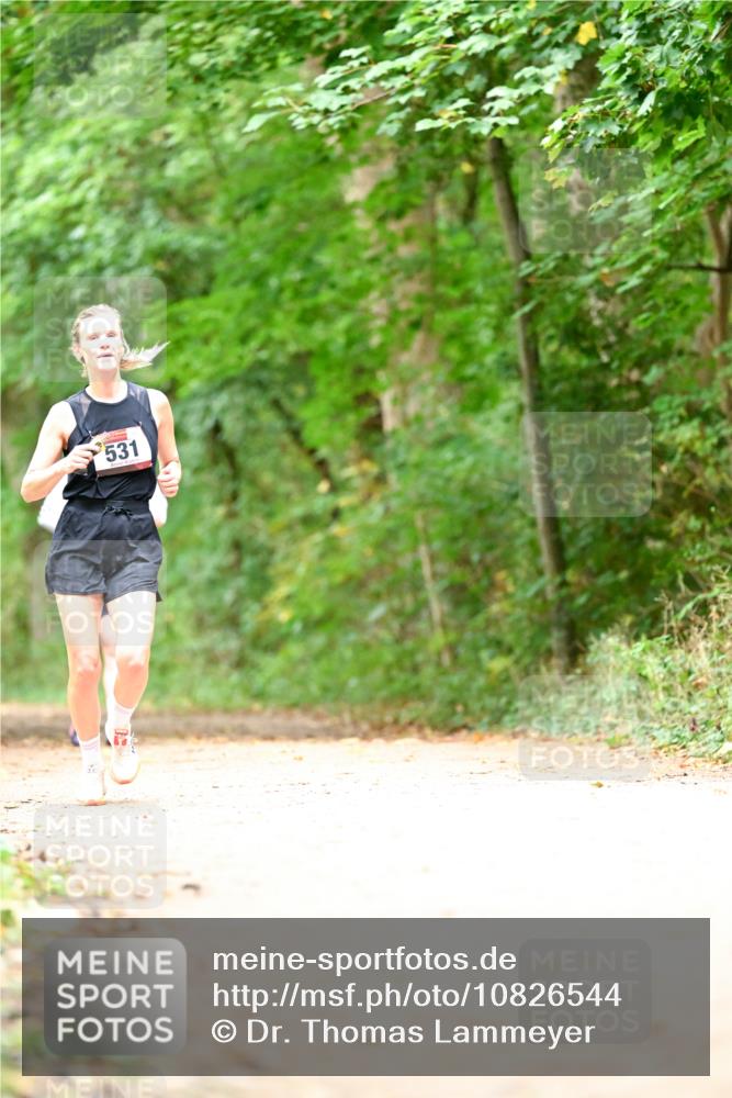 11.10.2026 - Bramfelder Halbmarathon 2026 Dr. Thomas Lammeyer http://msf.ph/oto/10826544 11.10.2026 10:57:17 Laufen 531 meine-sportfotos.de