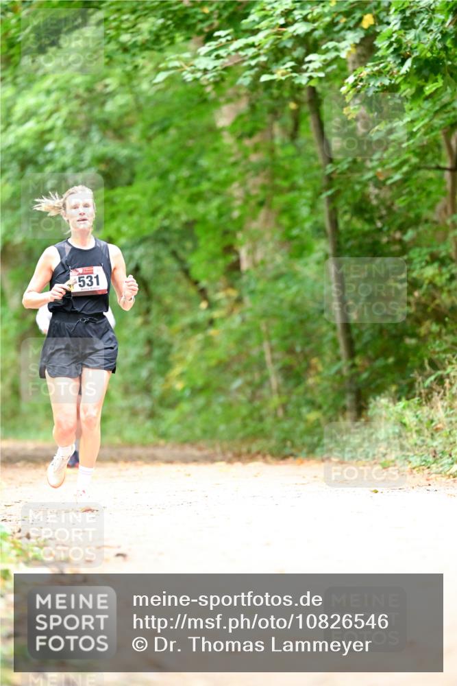 11.10.2026 - Bramfelder Halbmarathon 2026 Dr. Thomas Lammeyer http://msf.ph/oto/10826546 11.10.2026 10:57:17 Laufen 531 meine-sportfotos.de