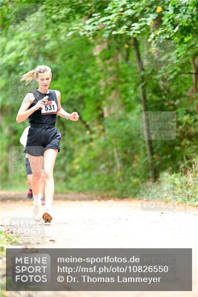 11.10.2026 - Bramfelder Halbmarathon 2026 Dr. Thomas Lammeyer http://msf.ph/oto/10826550 11.10.2026 10:57:17 Laufen 531 meine-sportfotos.de