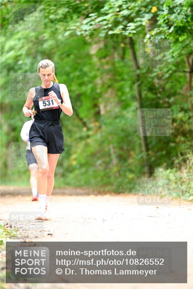 11.10.2026 - Bramfelder Halbmarathon 2026 Dr. Thomas Lammeyer http://msf.ph/oto/10826552 11.10.2026 10:57:18 Laufen 531 meine-sportfotos.de