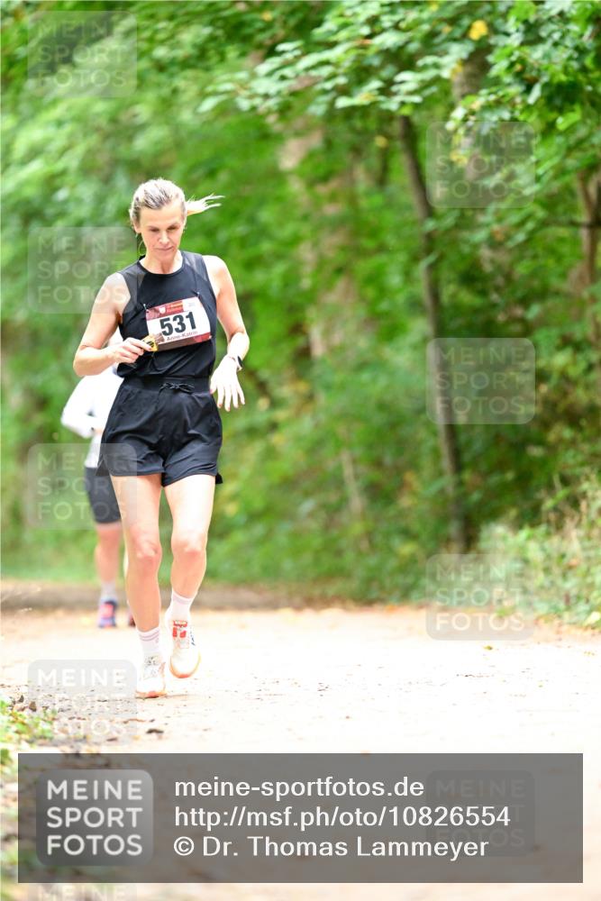 11.10.2026 - Bramfelder Halbmarathon 2026 Dr. Thomas Lammeyer http://msf.ph/oto/10826554 11.10.2026 10:57:18 Laufen 531 meine-sportfotos.de