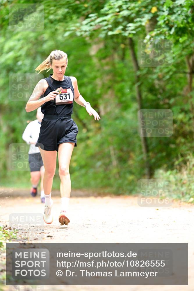 11.10.2026 - Bramfelder Halbmarathon 2026 Dr. Thomas Lammeyer http://msf.ph/oto/10826555 11.10.2026 10:57:18 Laufen 531 meine-sportfotos.de