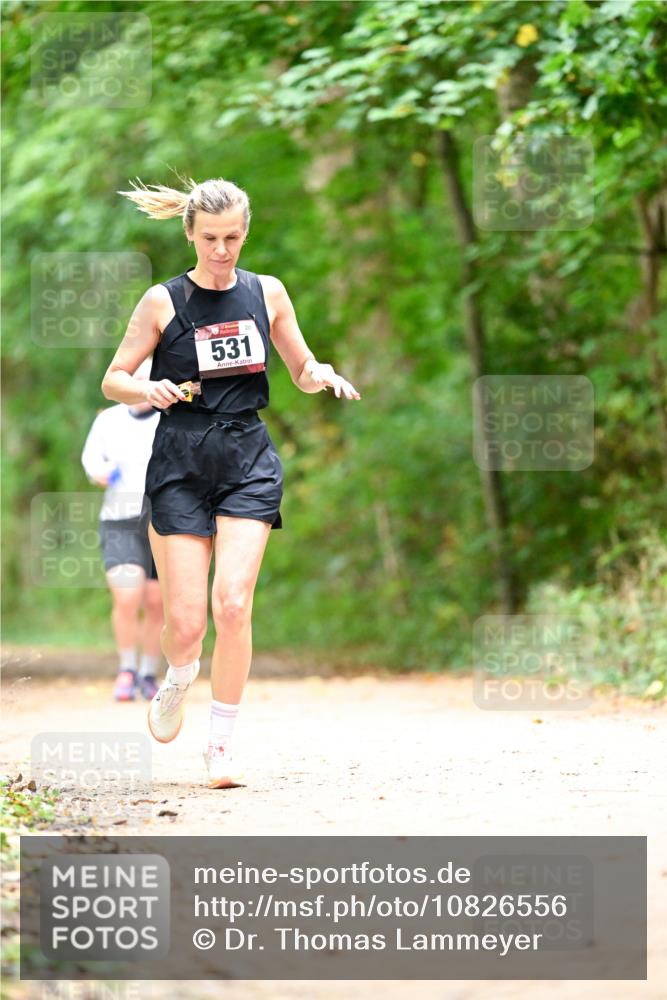 11.10.2026 - Bramfelder Halbmarathon 2026 Dr. Thomas Lammeyer http://msf.ph/oto/10826556 11.10.2026 10:57:18 Laufen 531 meine-sportfotos.de