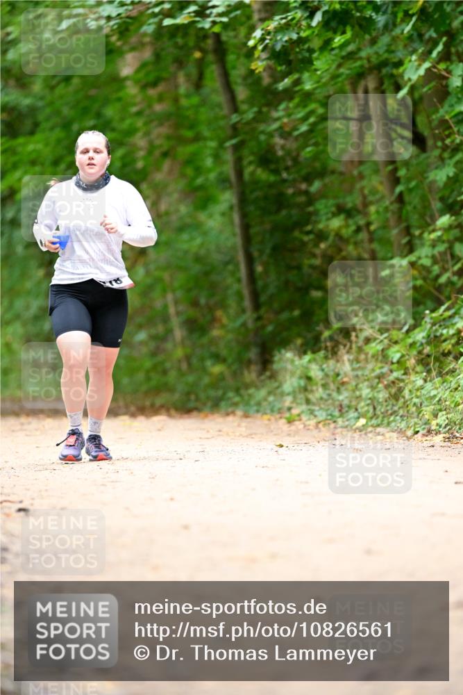 11.10.2026 - Bramfelder Halbmarathon 2026 Dr. Thomas Lammeyer http://msf.ph/oto/10826561 11.10.2026 10:57:21 Laufen  meine-sportfotos.de