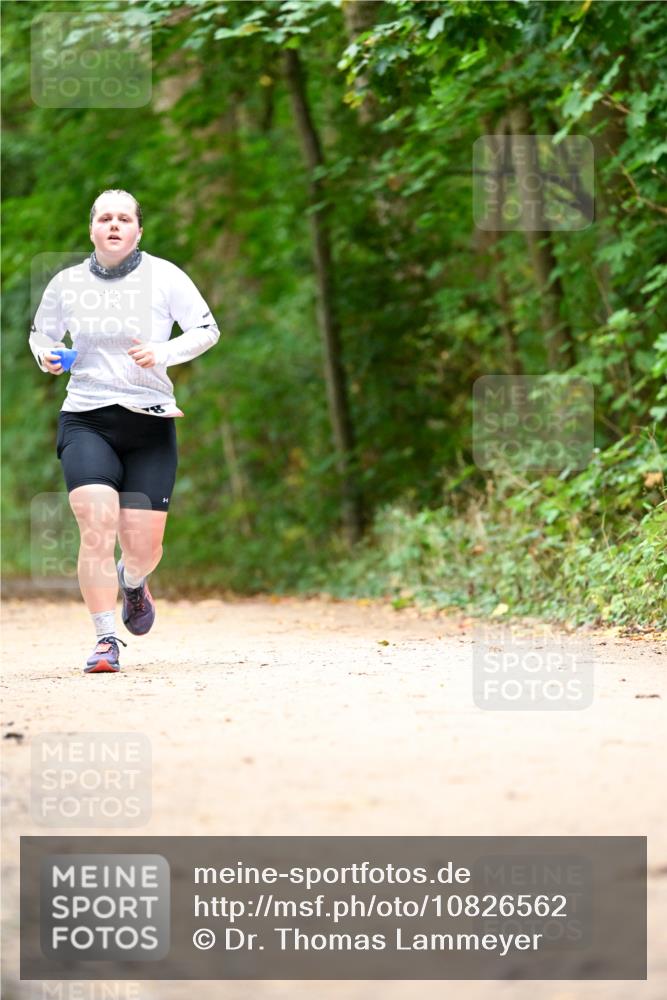 11.10.2026 - Bramfelder Halbmarathon 2026 Dr. Thomas Lammeyer http://msf.ph/oto/10826562 11.10.2026 10:57:21 Laufen  meine-sportfotos.de