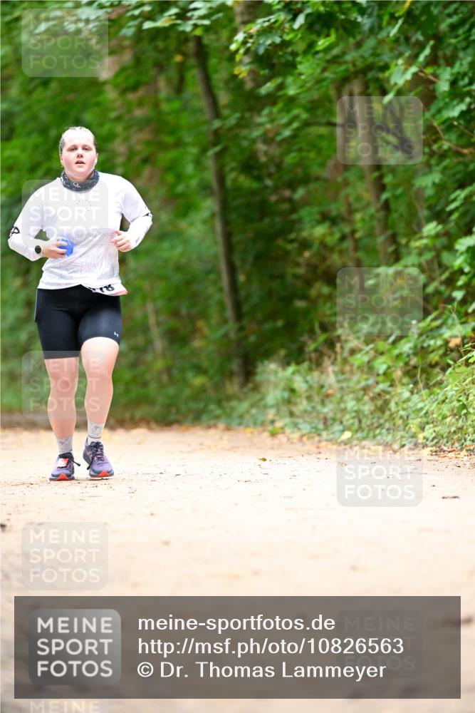 11.10.2026 - Bramfelder Halbmarathon 2026 Dr. Thomas Lammeyer http://msf.ph/oto/10826563 11.10.2026 10:57:21 Laufen  meine-sportfotos.de