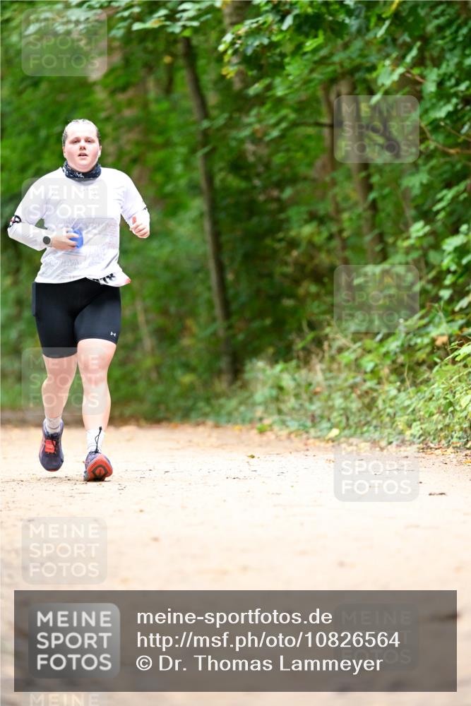 11.10.2026 - Bramfelder Halbmarathon 2026 Dr. Thomas Lammeyer http://msf.ph/oto/10826564 11.10.2026 10:57:21 Laufen  meine-sportfotos.de