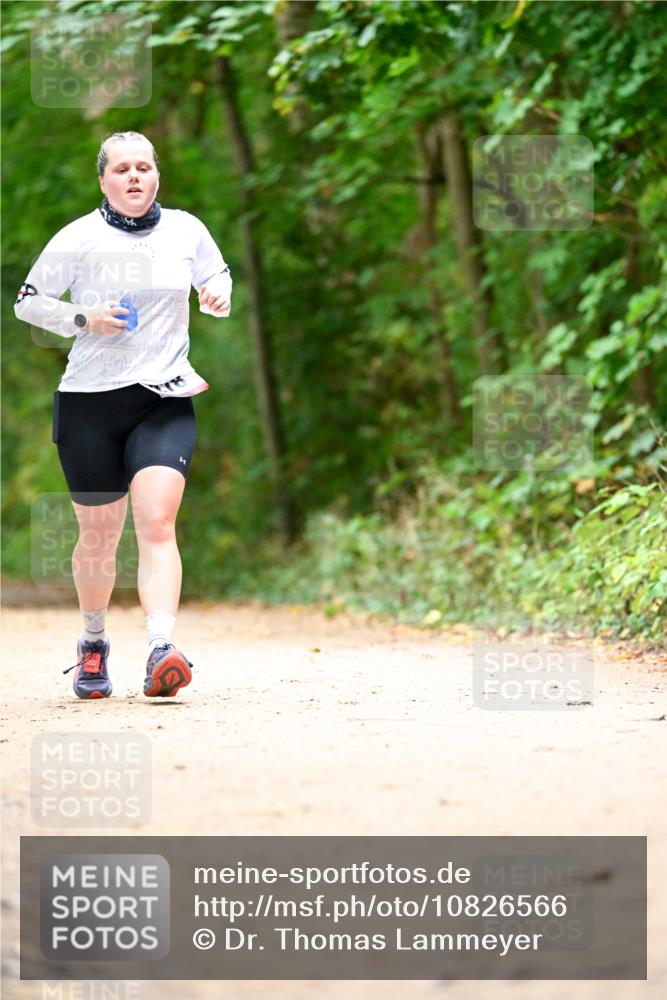 11.10.2026 - Bramfelder Halbmarathon 2026 Dr. Thomas Lammeyer http://msf.ph/oto/10826566 11.10.2026 10:57:22 Laufen  meine-sportfotos.de
