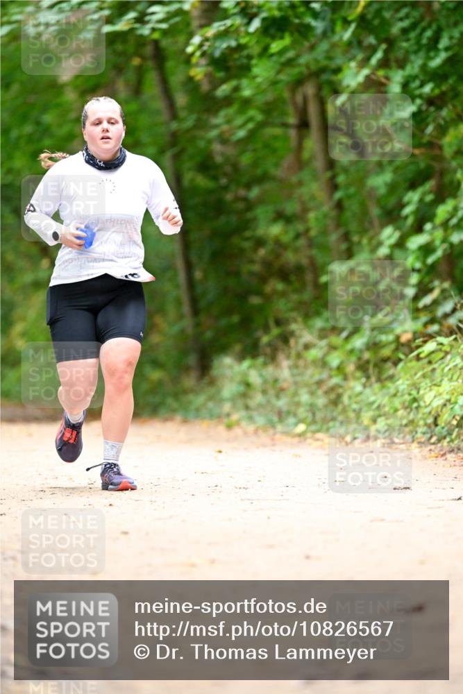 11.10.2026 - Bramfelder Halbmarathon 2026 Dr. Thomas Lammeyer http://msf.ph/oto/10826567 11.10.2026 10:57:22 Laufen  meine-sportfotos.de