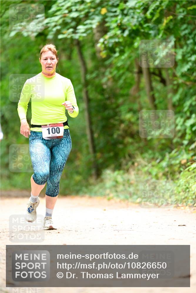 11.10.2026 - Bramfelder Halbmarathon 2026 Dr. Thomas Lammeyer http://msf.ph/oto/10826650 11.10.2026 10:57:54 Laufen 100 meine-sportfotos.de