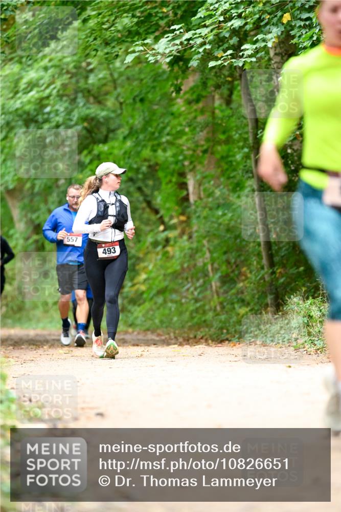 11.10.2026 - Bramfelder Halbmarathon 2026 Dr. Thomas Lammeyer http://msf.ph/oto/10826651 11.10.2026 10:57:56 Laufen 557, 493 meine-sportfotos.de