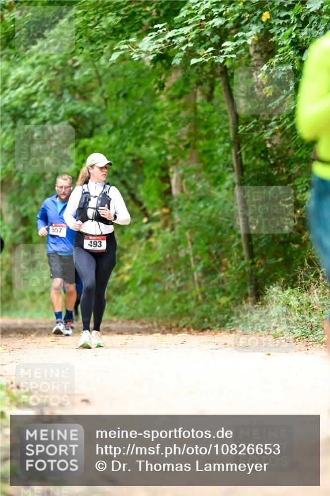 11.10.2026 - Bramfelder Halbmarathon 2026 Dr. Thomas Lammeyer http://msf.ph/oto/10826653 11.10.2026 10:57:56 Laufen 557, 493 meine-sportfotos.de