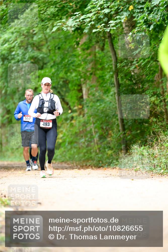 11.10.2026 - Bramfelder Halbmarathon 2026 Dr. Thomas Lammeyer http://msf.ph/oto/10826655 11.10.2026 10:57:56 Laufen 557, 493 meine-sportfotos.de