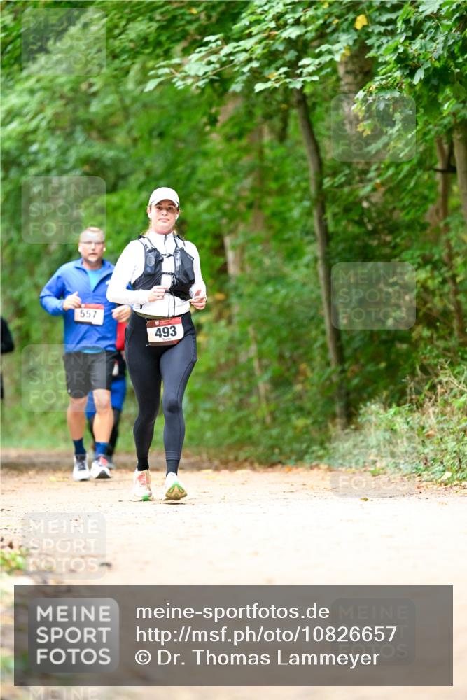11.10.2026 - Bramfelder Halbmarathon 2026 Dr. Thomas Lammeyer http://msf.ph/oto/10826657 11.10.2026 10:57:57 Laufen 557, 493 meine-sportfotos.de