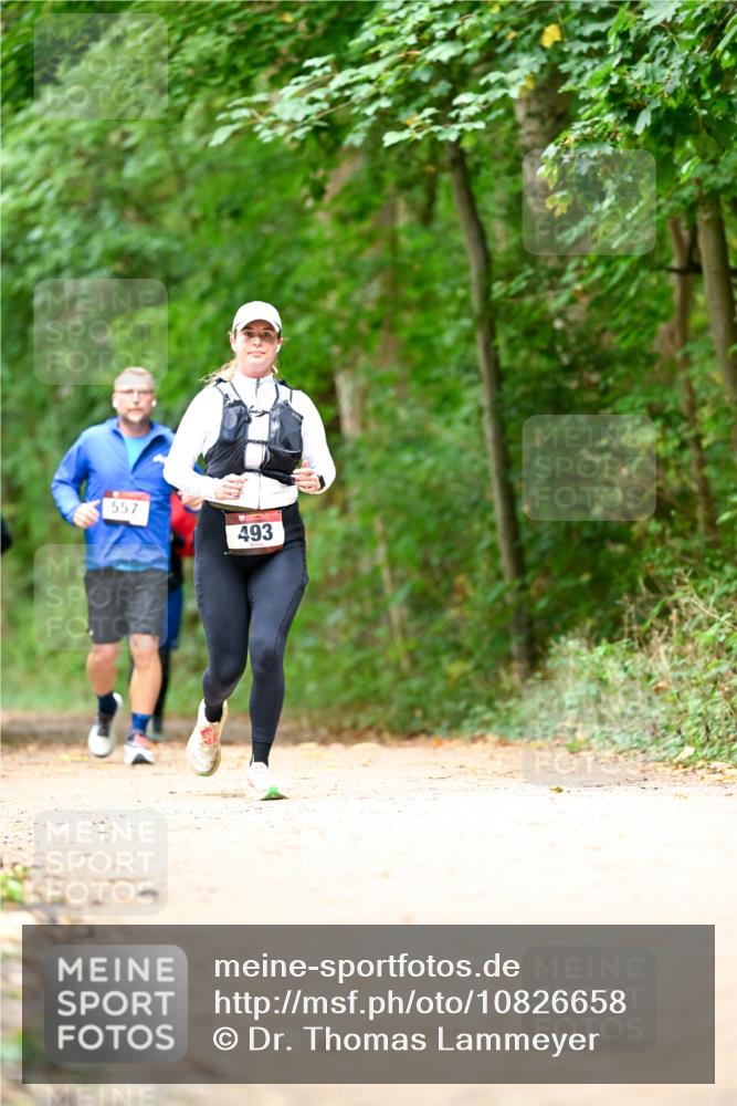 11.10.2026 - Bramfelder Halbmarathon 2026 Dr. Thomas Lammeyer http://msf.ph/oto/10826658 11.10.2026 10:57:57 Laufen 557, 493 meine-sportfotos.de