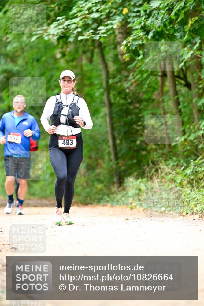 11.10.2026 - Bramfelder Halbmarathon 2026 Dr. Thomas Lammeyer http://msf.ph/oto/10826664 11.10.2026 10:57:58 Laufen 557, 493 meine-sportfotos.de