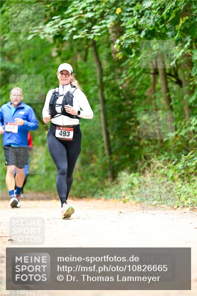 11.10.2026 - Bramfelder Halbmarathon 2026 Dr. Thomas Lammeyer http://msf.ph/oto/10826665 11.10.2026 10:57:58 Laufen 557, 493 meine-sportfotos.de