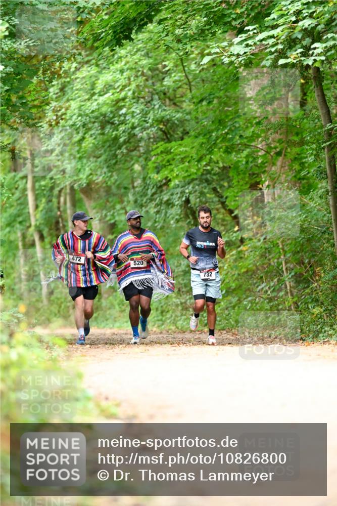 11.10.2026 - Bramfelder Halbmarathon 2026 Dr. Thomas Lammeyer http://msf.ph/oto/10826800 11.10.2026 10:59:09 Laufen 472, 520, 70, 3, 732 meine-sportfotos.de