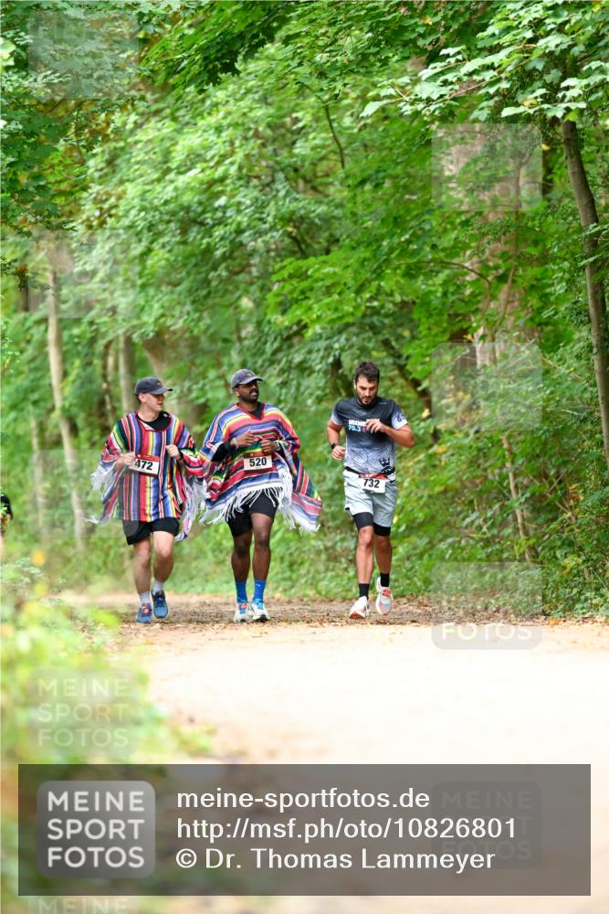 11.10.2026 - Bramfelder Halbmarathon 2026 Dr. Thomas Lammeyer http://msf.ph/oto/10826801 11.10.2026 10:59:09 Laufen 472, 70, 3, 520, 732 meine-sportfotos.de