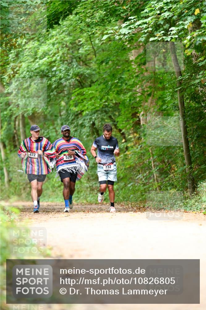11.10.2026 - Bramfelder Halbmarathon 2026 Dr. Thomas Lammeyer http://msf.ph/oto/10826805 11.10.2026 10:59:10 Laufen 472, 520, 70, 3, 732 meine-sportfotos.de