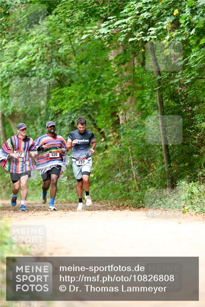 11.10.2026 - Bramfelder Halbmarathon 2026 Dr. Thomas Lammeyer http://msf.ph/oto/10826808 11.10.2026 10:59:10 Laufen 0, 3, 72, 520, 732 meine-sportfotos.de