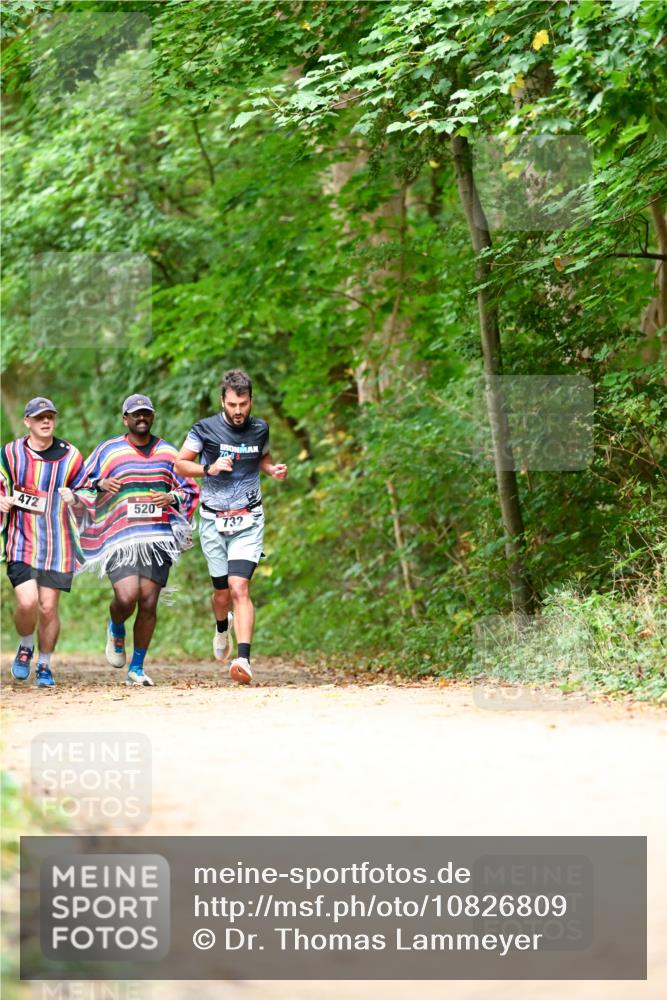 11.10.2026 - Bramfelder Halbmarathon 2026 Dr. Thomas Lammeyer http://msf.ph/oto/10826809 11.10.2026 10:59:10 Laufen 472, 520, 732 meine-sportfotos.de