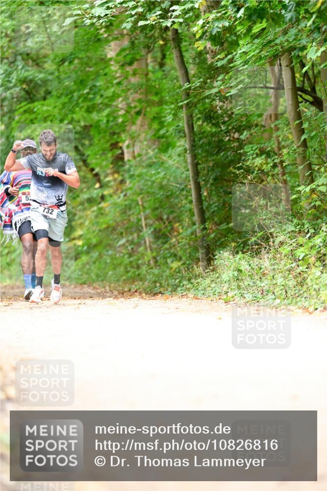11.10.2026 - Bramfelder Halbmarathon 2026 Dr. Thomas Lammeyer http://msf.ph/oto/10826816 11.10.2026 10:59:11 Laufen 5, 732 meine-sportfotos.de