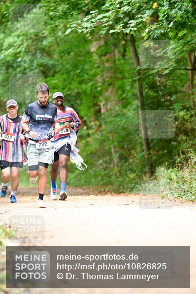 11.10.2026 - Bramfelder Halbmarathon 2026 Dr. Thomas Lammeyer http://msf.ph/oto/10826825 11.10.2026 10:59:12 Laufen 70, 3, 472, 732, 520 meine-sportfotos.de