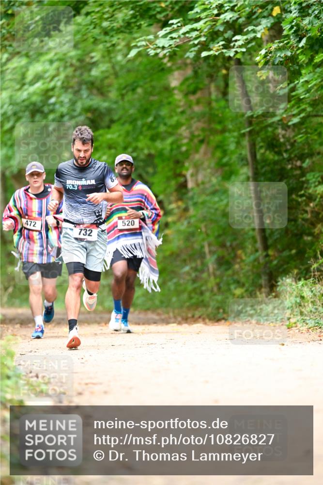 11.10.2026 - Bramfelder Halbmarathon 2026 Dr. Thomas Lammeyer http://msf.ph/oto/10826827 11.10.2026 10:59:13 Laufen 472, 70, 3, 732, 520 meine-sportfotos.de