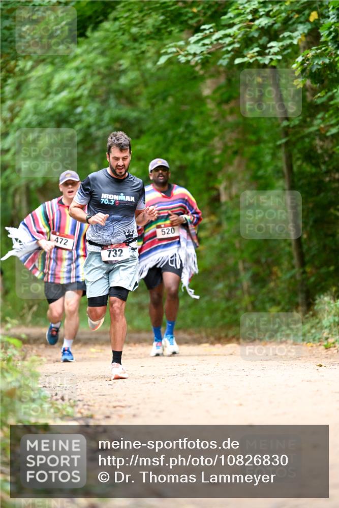 11.10.2026 - Bramfelder Halbmarathon 2026 Dr. Thomas Lammeyer http://msf.ph/oto/10826830 11.10.2026 10:59:13 Laufen 70, 3, 472, 732, 520 meine-sportfotos.de