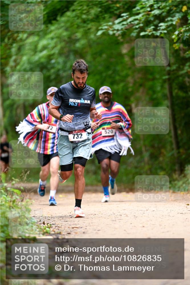 11.10.2026 - Bramfelder Halbmarathon 2026 Dr. Thomas Lammeyer http://msf.ph/oto/10826835 11.10.2026 10:59:14 Laufen 12, 70, 3, 732, 520 meine-sportfotos.de