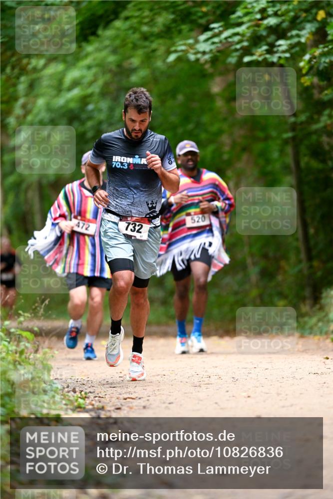 11.10.2026 - Bramfelder Halbmarathon 2026 Dr. Thomas Lammeyer http://msf.ph/oto/10826836 11.10.2026 10:59:14 Laufen 70, 3, 472, 732, 97, 520 meine-sportfotos.de
