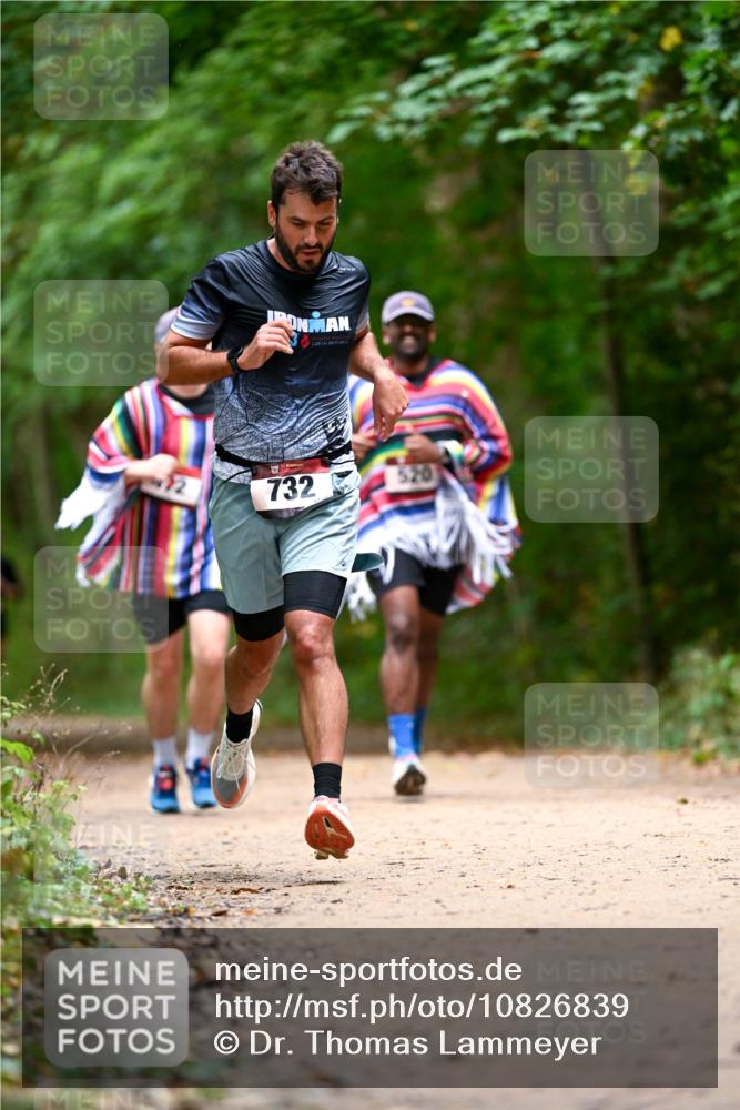 11.10.2026 - Bramfelder Halbmarathon 2026 Dr. Thomas Lammeyer http://msf.ph/oto/10826839 11.10.2026 10:59:14 Laufen 732, 520 meine-sportfotos.de