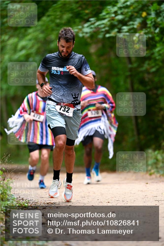 11.10.2026 - Bramfelder Halbmarathon 2026 Dr. Thomas Lammeyer http://msf.ph/oto/10826841 11.10.2026 10:59:15 Laufen 70, 3, 732, 97 meine-sportfotos.de
