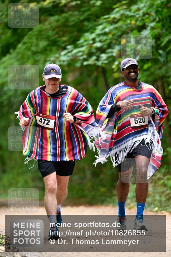 11.10.2026 - Bramfelder Halbmarathon 2026 Dr. Thomas Lammeyer http://msf.ph/oto/10826855 11.10.2026 10:59:17 Laufen 217, 472, 520 meine-sportfotos.de