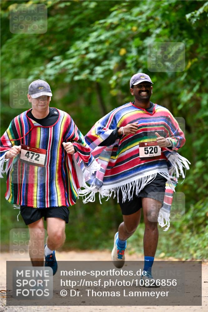 11.10.2026 - Bramfelder Halbmarathon 2026 Dr. Thomas Lammeyer http://msf.ph/oto/10826856 11.10.2026 10:59:17 Laufen 217, 472, 520 meine-sportfotos.de