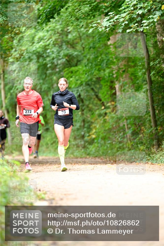 11.10.2026 - Bramfelder Halbmarathon 2026 Dr. Thomas Lammeyer http://msf.ph/oto/10826862 11.10.2026 10:59:21 Laufen 272, 33 meine-sportfotos.de