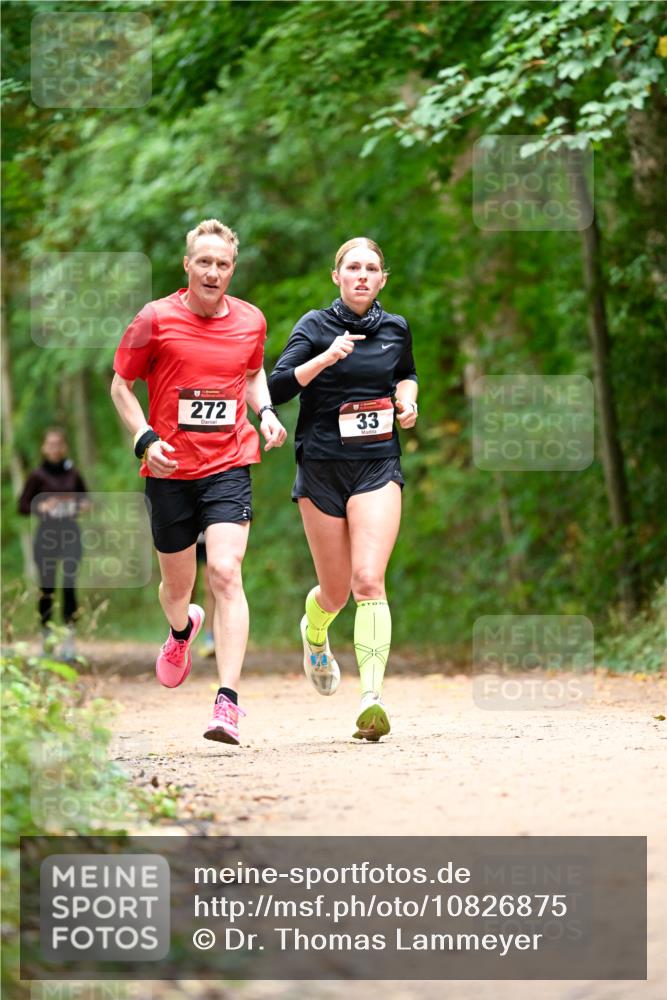 11.10.2026 - Bramfelder Halbmarathon 2026 Dr. Thomas Lammeyer http://msf.ph/oto/10826875 11.10.2026 10:59:23 Laufen 272, 33 meine-sportfotos.de