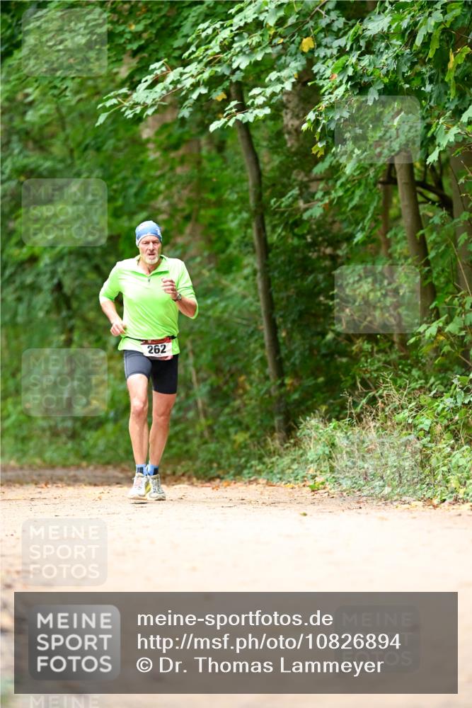 11.10.2026 - Bramfelder Halbmarathon 2026 Dr. Thomas Lammeyer http://msf.ph/oto/10826894 11.10.2026 10:59:28 Laufen 262 meine-sportfotos.de