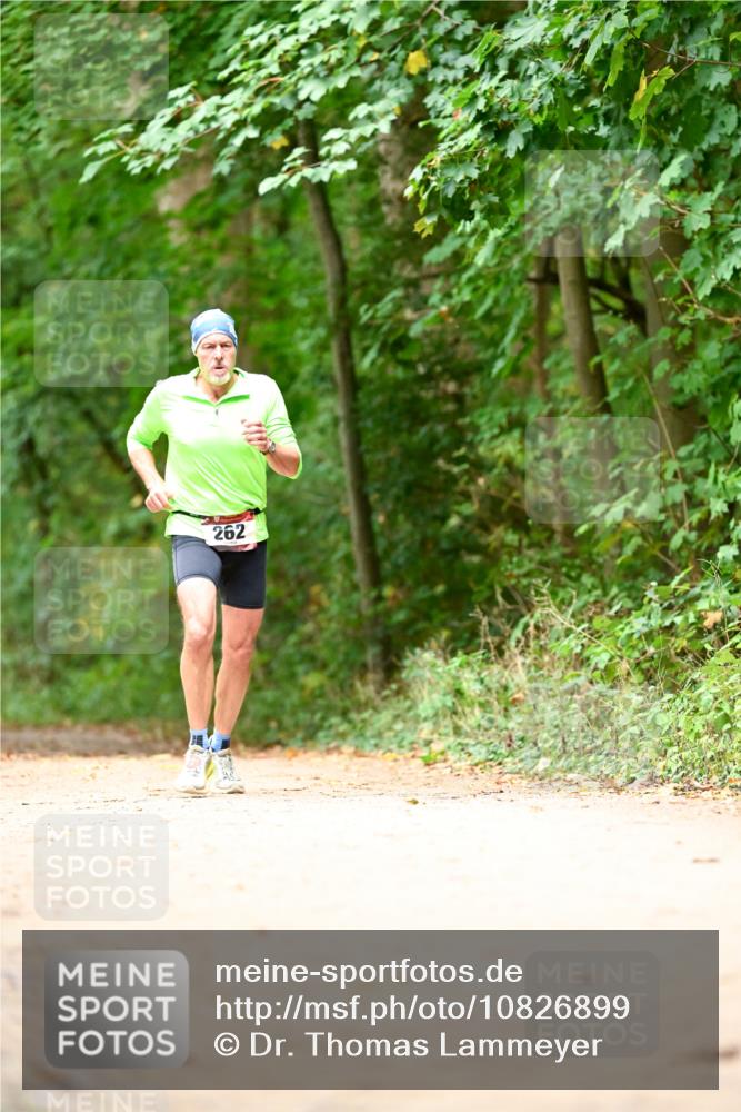 11.10.2026 - Bramfelder Halbmarathon 2026 Dr. Thomas Lammeyer http://msf.ph/oto/10826899 11.10.2026 10:59:28 Laufen 262 meine-sportfotos.de