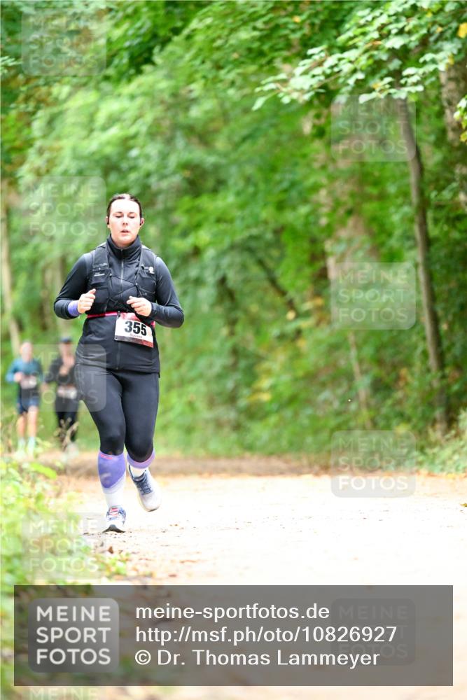 11.10.2026 - Bramfelder Halbmarathon 2026 Dr. Thomas Lammeyer http://msf.ph/oto/10826927 11.10.2026 10:59:37 Laufen 355 meine-sportfotos.de
