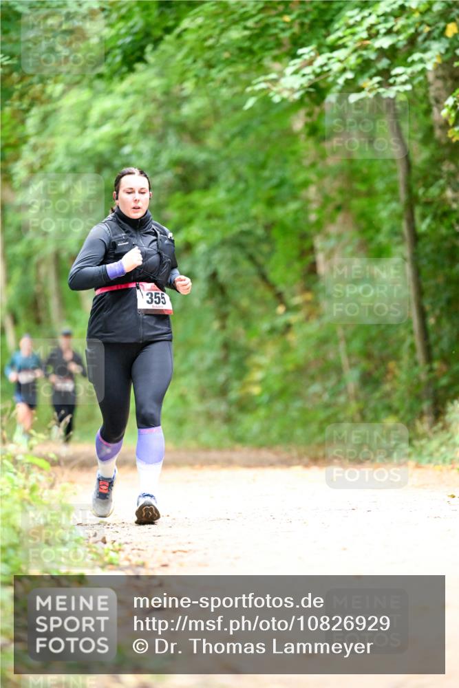 11.10.2026 - Bramfelder Halbmarathon 2026 Dr. Thomas Lammeyer http://msf.ph/oto/10826929 11.10.2026 10:59:37 Laufen 355 meine-sportfotos.de