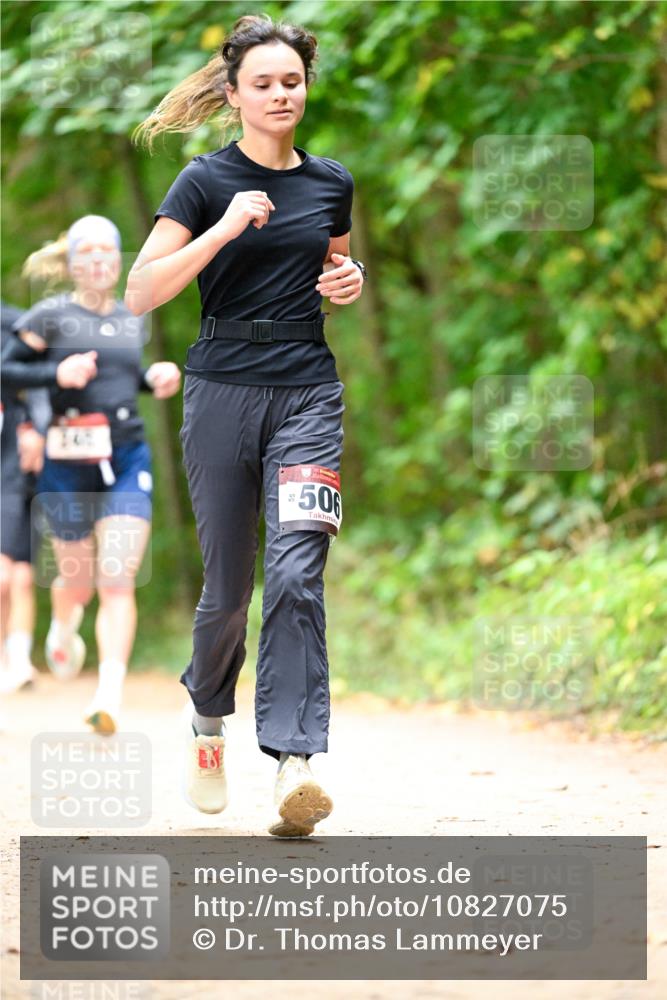 11.10.2026 - Bramfelder Halbmarathon 2026 Dr. Thomas Lammeyer http://msf.ph/oto/10827075 11.10.2026 11:00:29 Laufen 506 meine-sportfotos.de