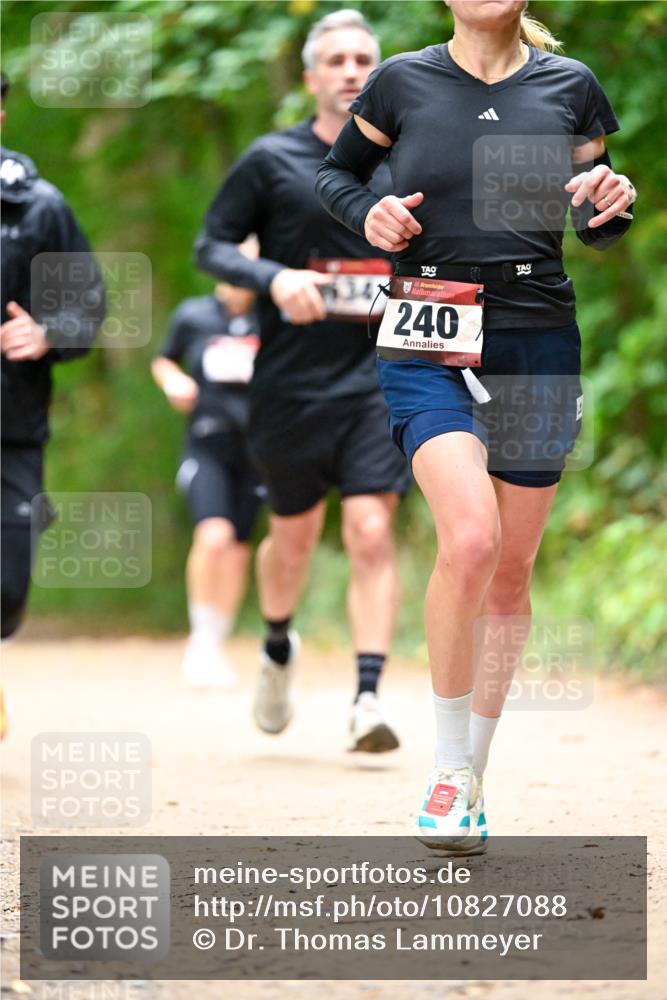 11.10.2026 - Bramfelder Halbmarathon 2026 Dr. Thomas Lammeyer http://msf.ph/oto/10827088 11.10.2026 11:00:31 Laufen 35, 240 meine-sportfotos.de