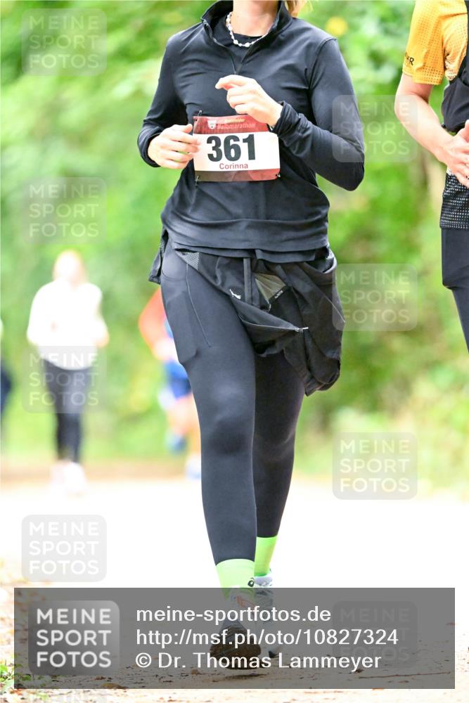 11.10.2026 - Bramfelder Halbmarathon 2026 Dr. Thomas Lammeyer http://msf.ph/oto/10827324 11.10.2026 11:01:40 Laufen 361 meine-sportfotos.de