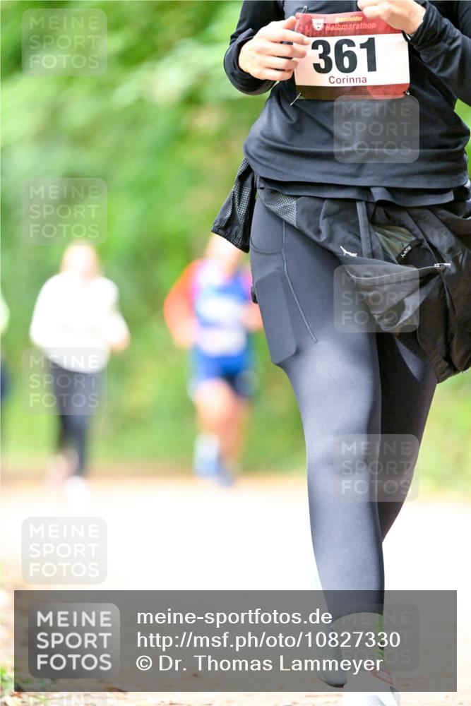 11.10.2026 - Bramfelder Halbmarathon 2026 Dr. Thomas Lammeyer http://msf.ph/oto/10827330 11.10.2026 11:01:40 Laufen 361 meine-sportfotos.de