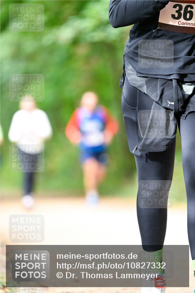 11.10.2026 - Bramfelder Halbmarathon 2026 Dr. Thomas Lammeyer http://msf.ph/oto/10827332 11.10.2026 11:01:41 Laufen 36 meine-sportfotos.de