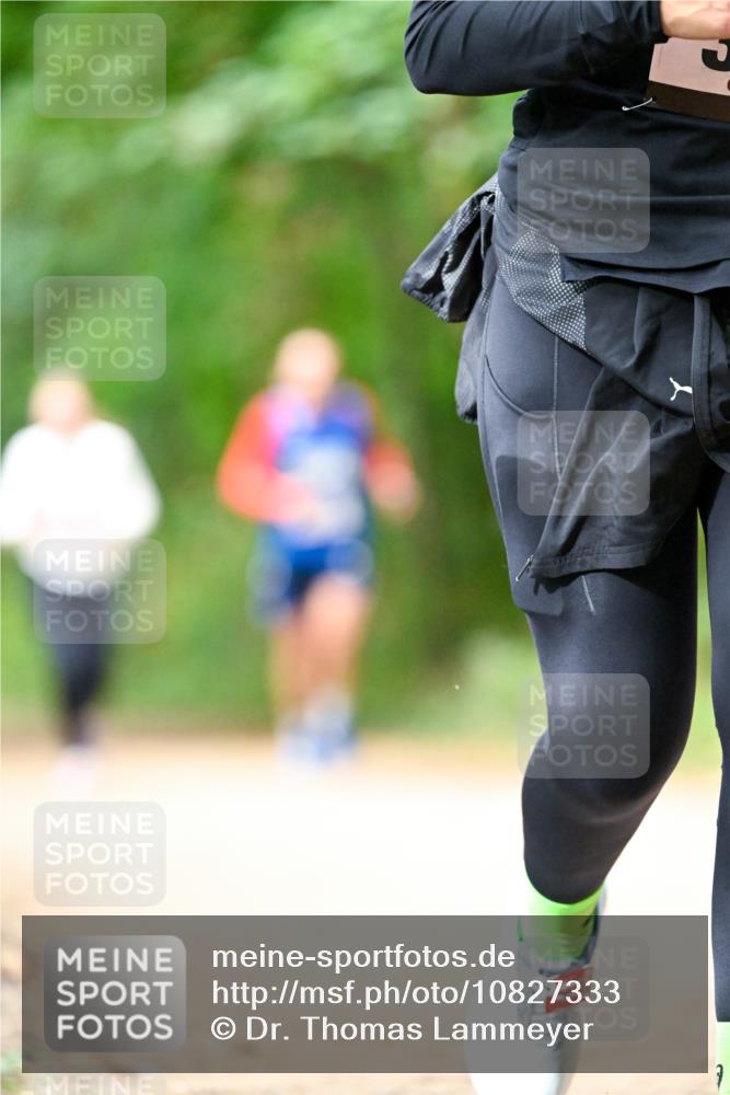 11.10.2026 - Bramfelder Halbmarathon 2026 Dr. Thomas Lammeyer http://msf.ph/oto/10827333 11.10.2026 11:01:41 Laufen 8 meine-sportfotos.de