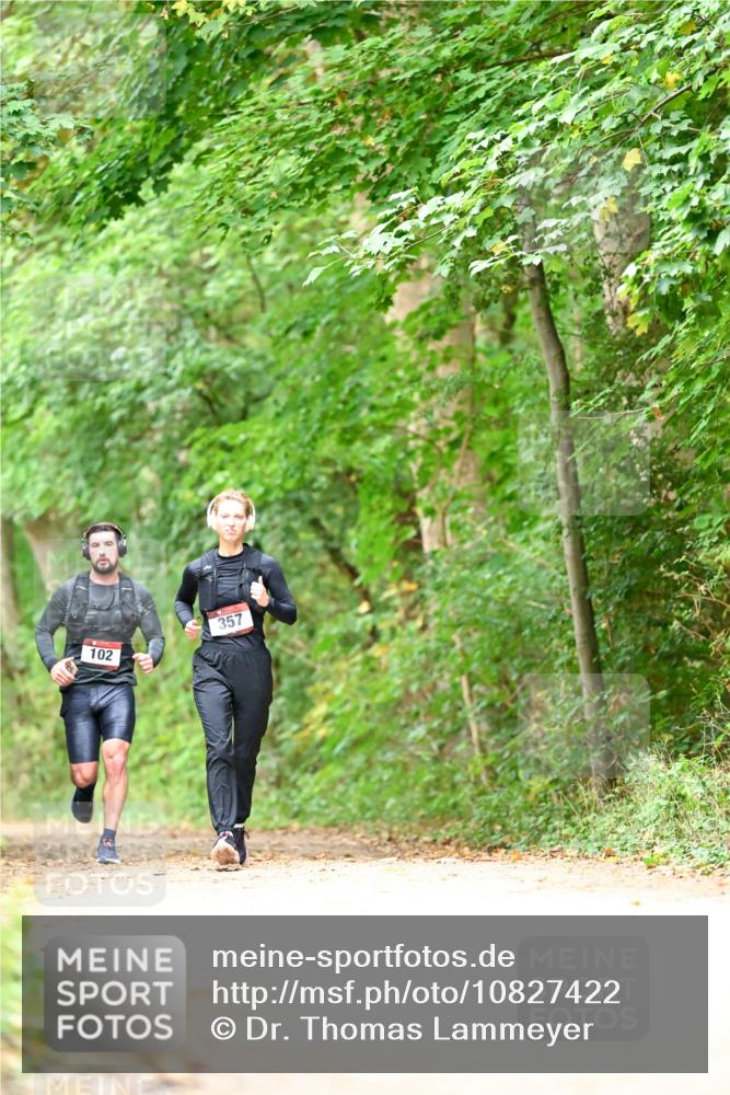 11.10.2026 - Bramfelder Halbmarathon 2026 Dr. Thomas Lammeyer http://msf.ph/oto/10827422 11.10.2026 11:02:35 Laufen 102, 357 meine-sportfotos.de